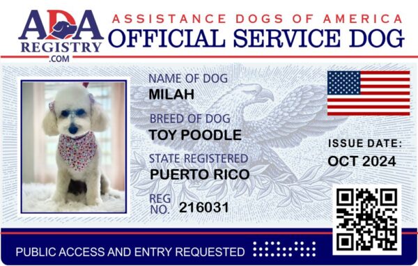 Service Dog Card