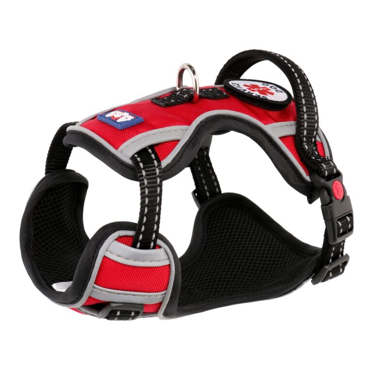 Service dogs home page instant service support documents