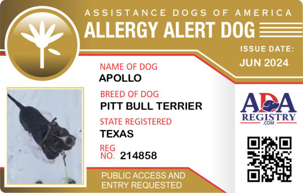 Allergy Alert Dog