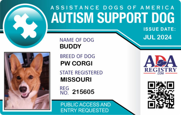 Autism Support Dog