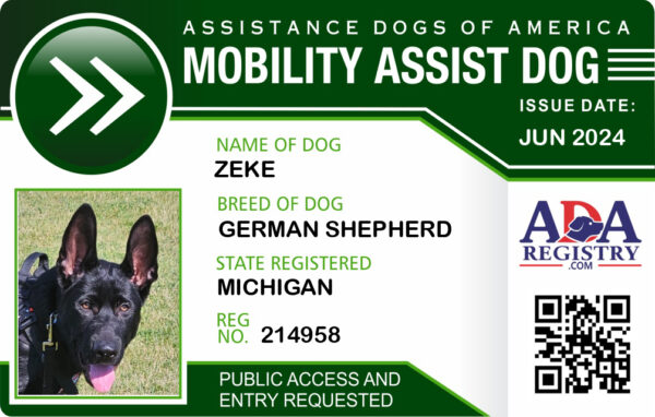 Mobility Assist Dog