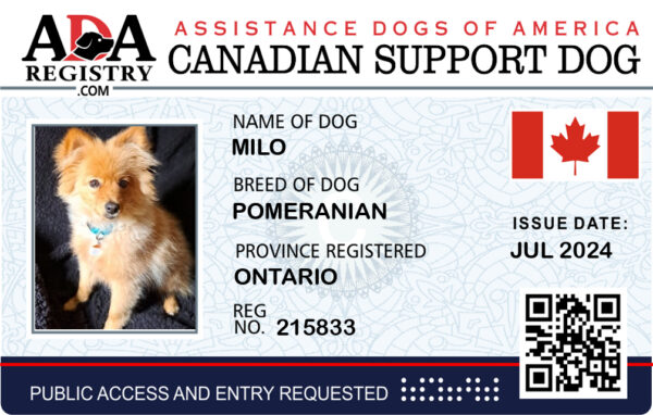 Canadian Support Dog