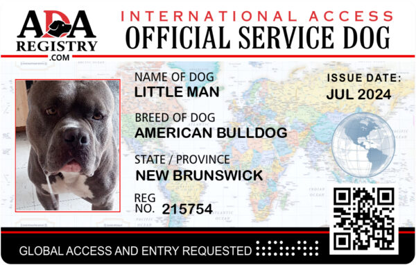 International Service Dog