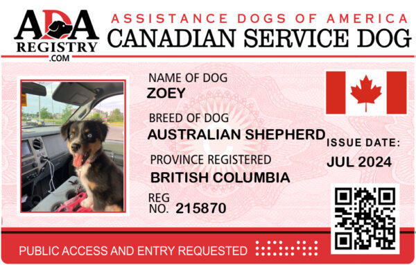 Canadian Service Dog