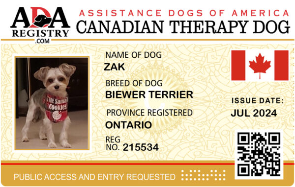 Canadian Therapy Dog