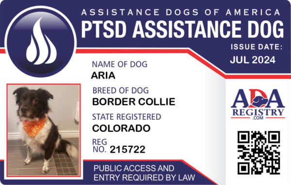 PTSD Assistance