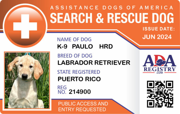 Search And Rescue