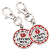 Autism Support Dog - Image 4