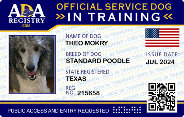 In Training Card