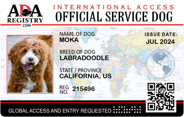 International Card