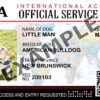 International Service Dog