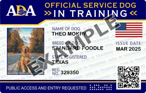 Service Dog In Training Card