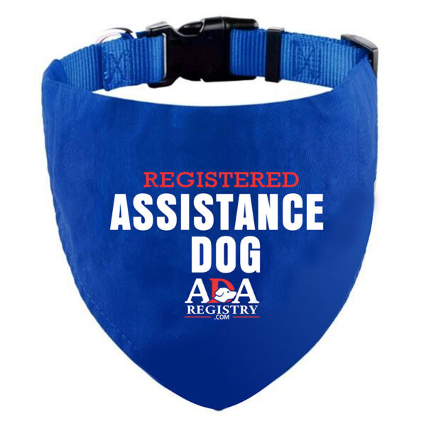 Assistance Dog