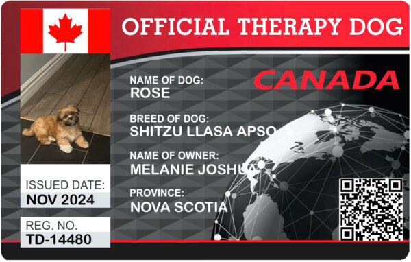 Canadian Therapy Dog