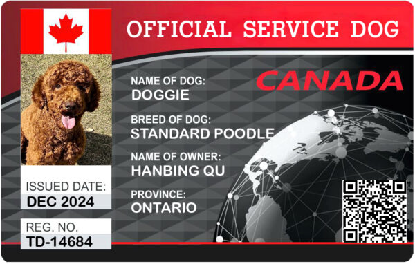 Canadian Service Dog