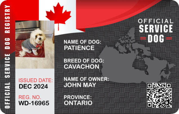 Canadian Service Dog