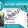 Autism Support Dog