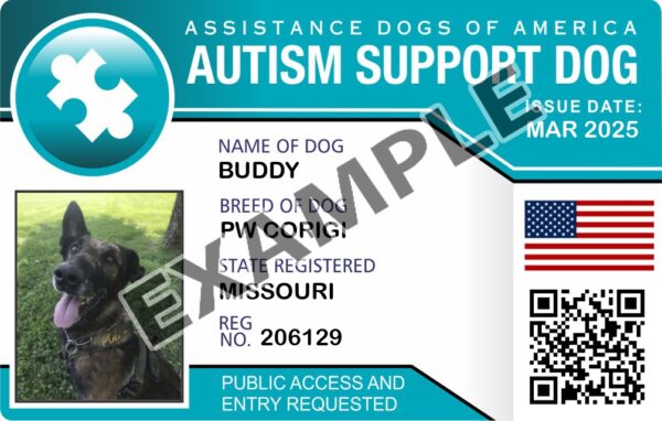 Autism Support Dog
