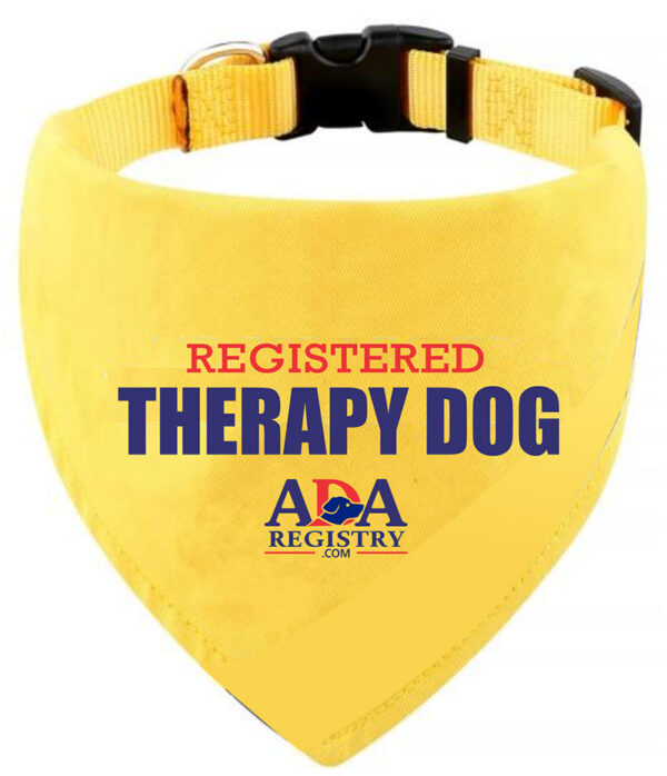 Therapy Dog