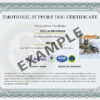 Support Dog Card - Image 3
