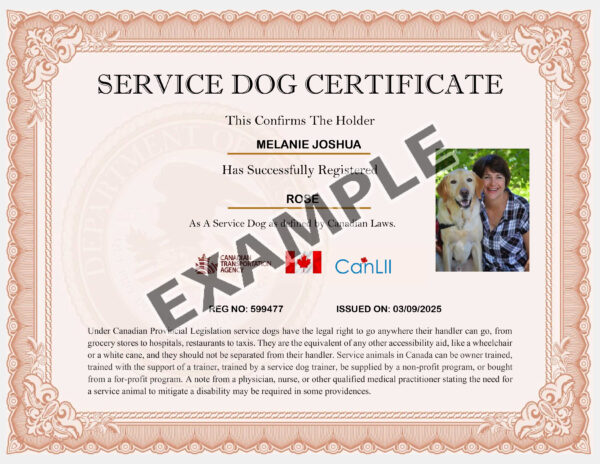 Custom CA Working Dog Certificate