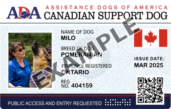 Canadian Support Dog