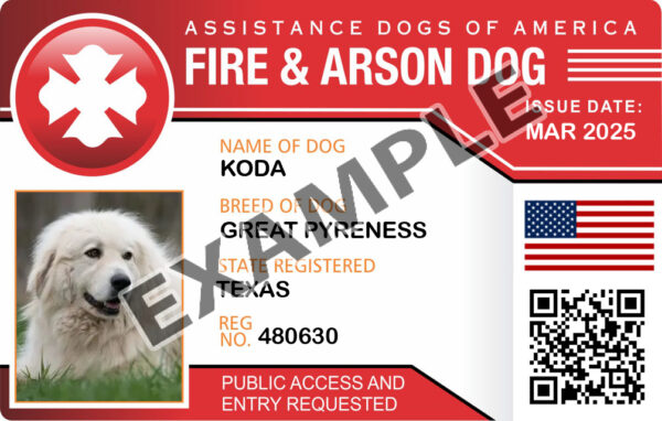 Fire & Arson Dog