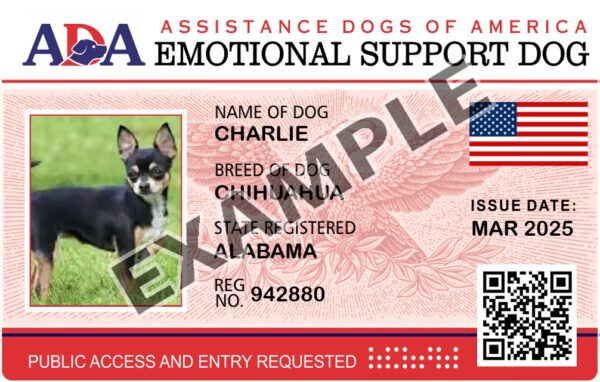 Support Dog ID Card