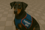 Doberman Pinscher as a Therapy Dog