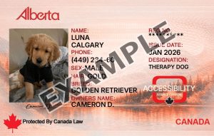 Alberta Service Dog Registration Card