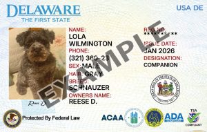 Delaware Service Dog Registration Card