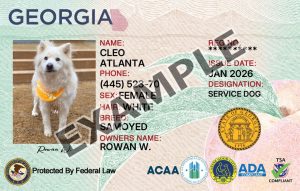 Georgia Service Dog Registration Card
