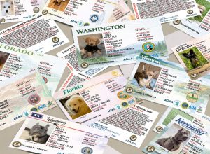 State Service Dog Registration Cards