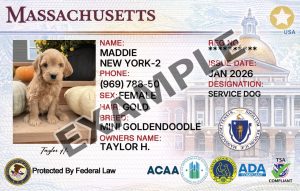 Massachusetts Service Dog Registration Card