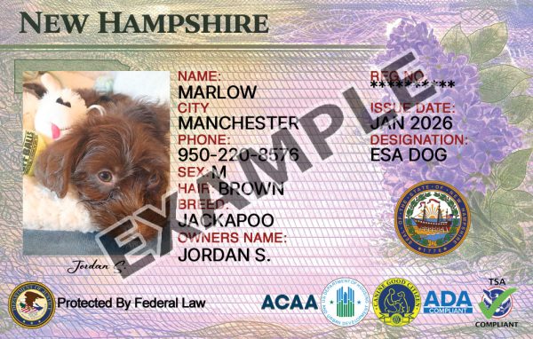 Nh Service New Hampshire Service Dog Registration Card - Instant Service And ...