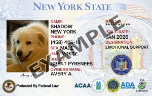New York Service Dog Registration Card
