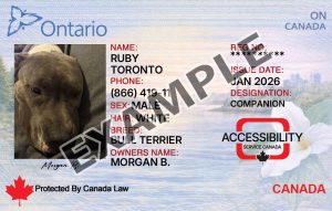 Ontario Service Dog Registration Card