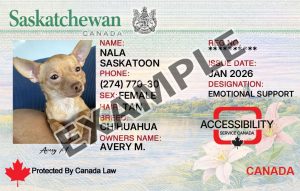 Saskatchewan Service Dog Registration Card