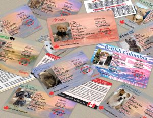 Canada Service Dog Province Cards