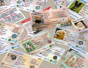 State Service Dog Registration Cards